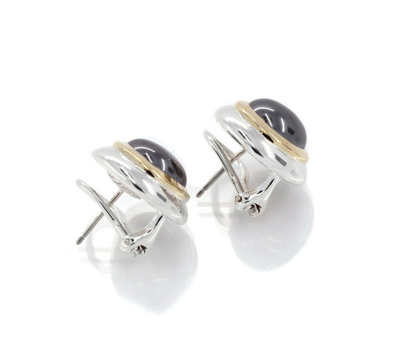 Tiffany & Co. Sterling Silver & 18k Yellow Gold Hematite Omega Back Earrings - simonbjewels.co